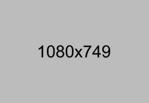 Read more about the article Litora torqent per conubia